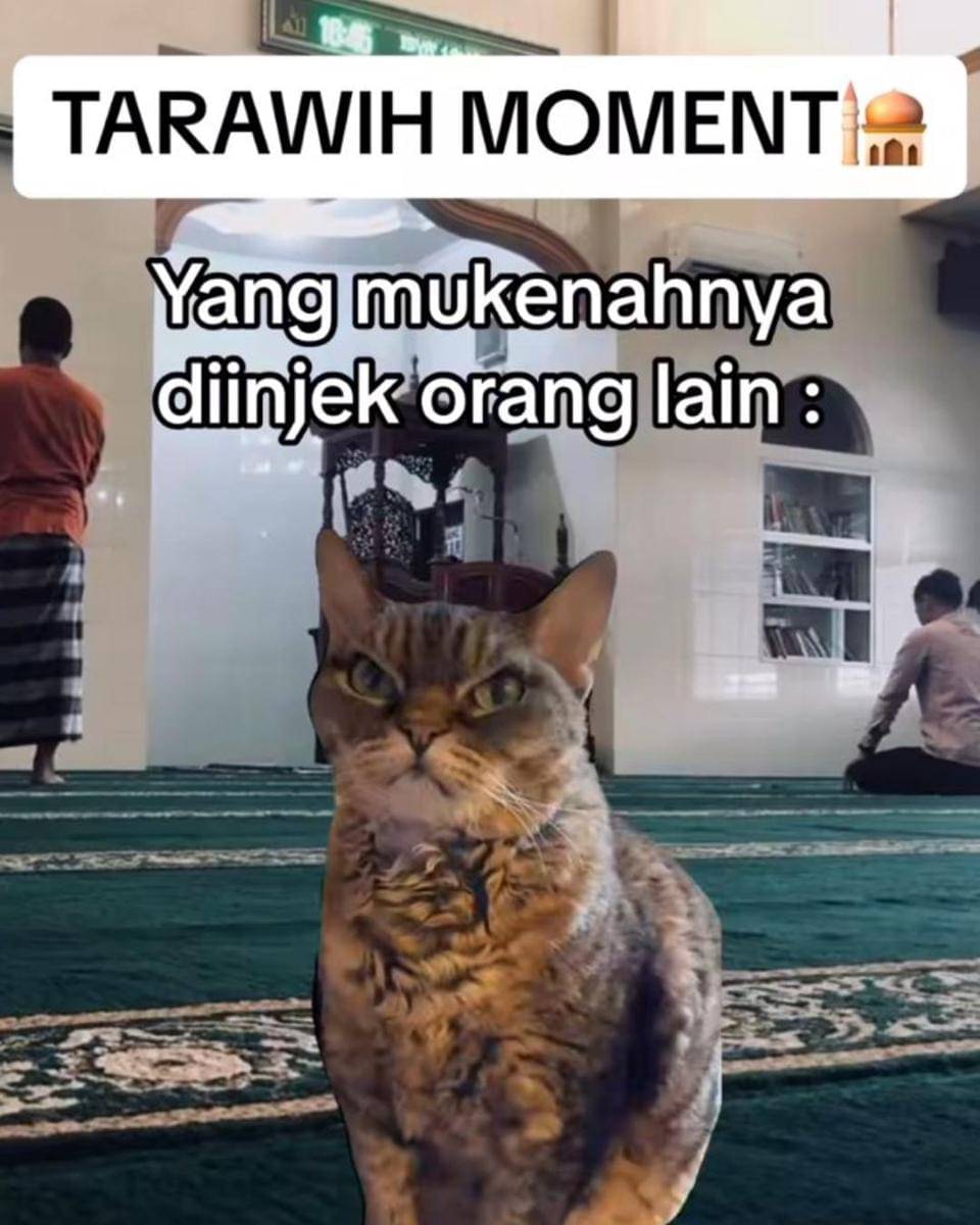 Instagram.com/memekucingofficial